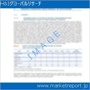 市場と産業調査レポートのイメージ